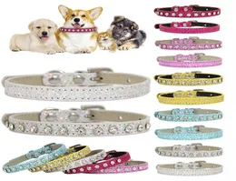 I collari di gatti conducono a 10 colori brillanti riflettenti per animali domestici rosa Accessori per cani imbracatura Fashion8075117