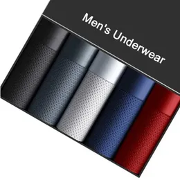 Shorti boxer Underpants Underpants Mens Minsiers Boxer Underwear Ice Silk Mash Set sexy set di boxers traspiranti L-5xl Y240507