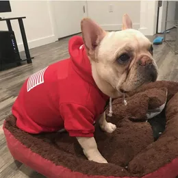 أزياء ملابس الكلاب للحيوانات الأليفة للكلاب الصغيرة على غرار Schnauzer Apparel Hoodies There Pug Costume Red S-2XL PC1408 240429