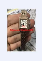 Frauen Armbanduhr Quarz Chronograph 22 mm WGPN0006 Roségold Edelstahlarmband Luxus Lady Uhres3502622