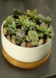 Modern White Ceramic Round Succulent Cactus Planter Pot With Drainage Bamboo TrayDecorative Garden Flower Holder Bowl4296342