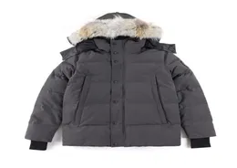 Alta qualidade real coyote pur inverno masculino canadense cg wyndham parka ganso down jacket externo casaco wnd impermeável 3808m 3x3k8761766