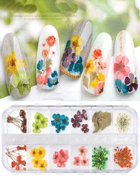 2boxbag 12Colorsbox Trockenblüten Nagelkunst Dekorationen 3d natürliche Daisy Sonnenblume Trocken Blumen DIY -Aufkleber Maniküre Sommer Design 9616871