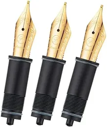 3 Asvine Fountain -Stifte mit Ersatznibs EF/F/M -Nibs, die für Asvine V169 P20 P30 und V126 geeignet sind, nicht geeignet für P36 240506