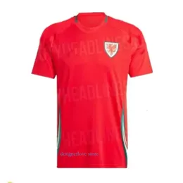 Camicie da calcio da pista da donna da donna Galles James Bale Welsh Football Shirts Johnson N Williams Rodon T Roberts Cabango Levitt Moore Thomas Men Kid Kit Shirt Fit