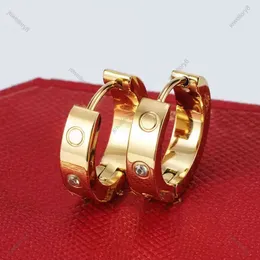 Золотые серьги роскошные серьги из нержавеющей стали, украшения, женщины розовое золото серебряное покрытие для ушных кольцевых украшений.