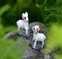 30pcs MOQ High quality lovely mini handcraft white goat fairy miniature color as picture DIY garden landscape home decorative anim1343101