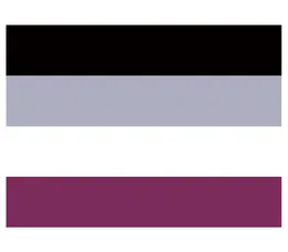 Polyester 90150cm LGBTQIA ACE Community Nonexuality Pride Asexuality Asexual Flag för dekoration8940042