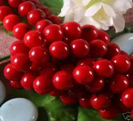 natural 10mm Red Coral Round Loose Beads 15039039natural011132368