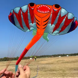 12.5M 3D Soft Ray Kite 9 Air Inflatable Large Animal Beach Professional Kite Easy to Fly Tear proof Packaging Bag Cometas 240424