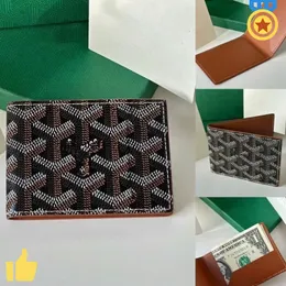 Designer Wallet Man Card Holder Goyarwallet Women's Short Push Folding Plånbok Vertikal lyxig plånbokförpackning