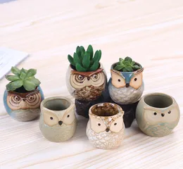Cartoon Owlshaped Flower Pot for Succulents Fleshy Plants Flowerpot Ceramic Small Mini HomeGardenOffice Decoration HH78565699639