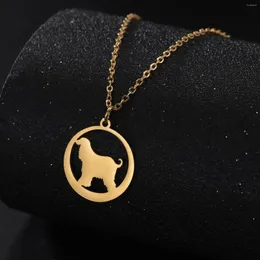 قلادة قلادة Dreamtimes أزياء الكلب قلادة النساء مجوهرات الفولاذ المقاوم للصدأ المجوهر