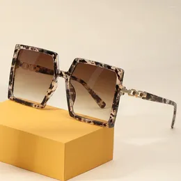 نظارة شمسية 2024 Harko Brand Fashion Square Square Elegant Women Vintage Classic Design Sun Glasses