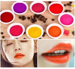 DIY Lipstick Pigment Powder Lip Gloss Pigment för DIY Lipgloss Powder Red Pink Make Up Tools Makeup Comestics Gloss5599629