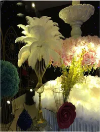 Ostrich Feather Plume färgglada fjädrar för hantverk kostymtillförsel bord bröllop födelsedag centerpieces 12 colors välj xd207089588119