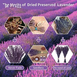 Decorative Flowers 70/100g Natural Preserved Lavender Dried Bouquet Weeding Home Decor Fresh Fragrance Dry Flower Party Boho Decoration