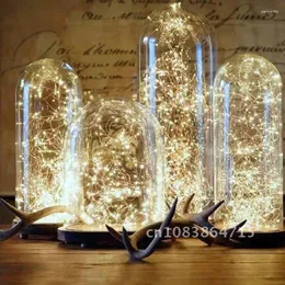 Parti Dekorasyon Tel Bakır Kutusu Düğün Düğün Çelenk Peri Bahçesi Luce Decorativa Natale Dize Işıkları