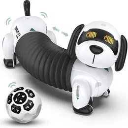 Bewgl Electric/RC Animals Robot Wireless Pet Electronic Smart Child For Dogs Control Tarking Remote Intellent 24G Toys Programmable Kid DWIC