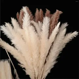 Decorative Flowers 45CM Pampa Natural Dried Flower Tail Grass Wedding Pampas Decor Gypsophile Decoration Home Blumen Dekoration Dry