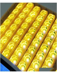 32 Digital Egg Incubator Matic Hatcher Temperature Cont qylYCS packing20109642228