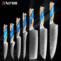 XITUO Damascus Kitchen Knife Set Highquality 1-7pc giapponese VG10 Acciaio Chef Claiver Cleaver Santoku Donting Fruit Kife Resina blu