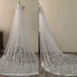 Eleganti Appliques 3D Appliques da sposa Veil 3M Long Special Cut Reyal Bridal Veil con Accessori per matrimoni veli