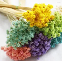 Dekorative Blumen 150 PCs Deinsfen Mini erhalten getrocknet für Hochzeitsfeier Home El Decoration Diy Bouquet Accessoire Dia 1cm NF171024