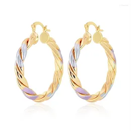 Hoop Earrings Trendy 18K Gold Plated Copper Round Colorful Twist Eardrop Women Fashion Accessories Wedding Party Birthday Gift