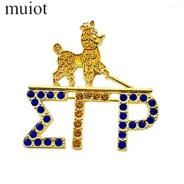 Brooches College Girl Sorority SIGMA GAMMA RHO Society Symbol Poodle Letter Label Rhinestone Jewelry Brooch Pinwomen