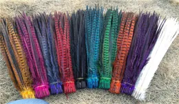 Whole 100 PCS 55 60 cm 2224 inch natural pheasant tail feathers Festival and party supplies gt gt celebration par8131975