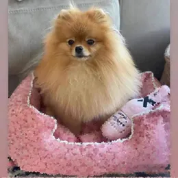 Tasarımcı Kennels Dog Nest Fashion Mektup Pet Pembe Kahverengi Renk Yatak Kedi Yuva Boyutu S M L XL Evcil Hayvanlar İçin Çıkarılabilir Yıkanabilir