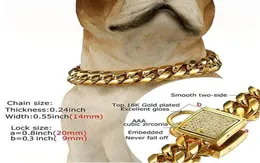14mm Dog Collar Gold Color Stainless Steel Pet Chain Necklace Pet Supplies Canoidea Rhinestone Lock High Polished1024Inch17104141