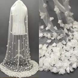 Enkla 3D -blommiga applikationer bröllopslöja 3 m lång specialskuren Royal Bridal Veil med Comb Veil Wedding Accessories