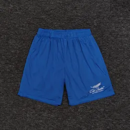 2024SS Shorts Männer Frauen 1: 1 Drawschnell schwarz blau braun Farbröche Mesh Shorts