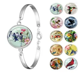 Очарование браслетов попугает Llow Crow Phoenix Pterodactyl Cardinal Birles Bracelet Bracelet Glass Cabochon Bangle Животные украшения для девочек FAW6468468