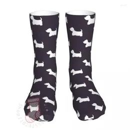 Meias masculinas Compressão West Highland Terrier Mulher 2024 Men Dog Sport Sock