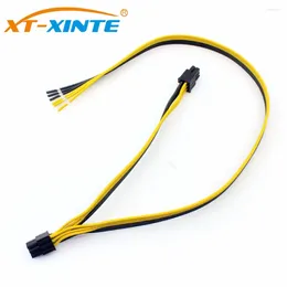 Компьютерные кабели XT-XINTE 50 20см/60 20 см Двойной 6PIN Power Cable для 2950 1470 серии серверов.