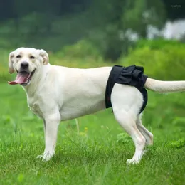 Pantaloni fisiologici a prova di perdite per cani brief biancheria bianche e lavabili morbidi pannolini di cotone pannolini