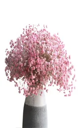 110G Pink Natural Baby Breath Flower Christmas Christmas Valentine039s Day Gift Nove Touch Decor Regone Bouquet Y11289616104