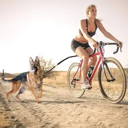Bicicleta de transportadora de cachorro Pequeno arnês de pilota