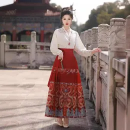 Etekler 2024 Çin tarzı Hanfu Suit Kadınlar Dolu Kızarmış Kostüm Altın Kırmızı Modifiye Ming At Yüzü Etek Oriental Kostümler