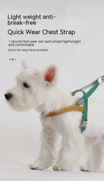 Dog Collars Puppy Leash Best Style Walking Chain Smell and Mediualサイズのハーネステディバケツ軽量
