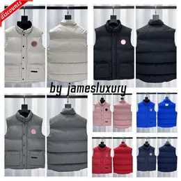 Warm Body Wärmer Gillet Herren Gilet Designer Weste BodyWarmer Weste Goose Reporter gesundes Stand Park GooseBerry schrecklich haben kalt iloq laufen