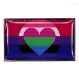 Broşlar Biseksüel Cinsiyet -Fluid Polysexual Bayrak Rozeti Gurur Broş LGBTQ Aksesuarları