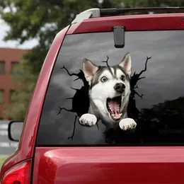 Accessori per interni Adesivo per cani Funny Cant Crack Adesivi in vinile decalcomanie per auto a finestretto per auto a finestre