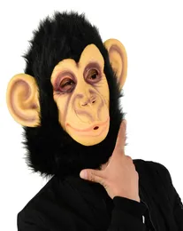 Engraçado legal Creepy Monkey Dog Rubrotest Máscara de animal de látex FALHO DE FRINHO PENGUIN Máscara de cabeça do Halloween do Halloween Masquera2844927