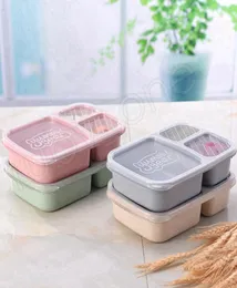 Lunch Box 3 Grid Wheat Straw Bento BagsRadeble Transparent Lid Food Container för arbete Travel Portable Student Lunch Boxes Innehåller5796450