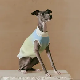 Sweater de pet sweater de outono de primavera roupas de cachorro de luxo schnauzer whybit Greyhound Puppy Clothes Dogs Acessórios Designer Roupos de animais de estimação 240511