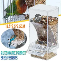 Andra fågelförsörjningar automatisk snygg matare papegoja anti-slask mat stor kapacitet fågelburen tillbehör